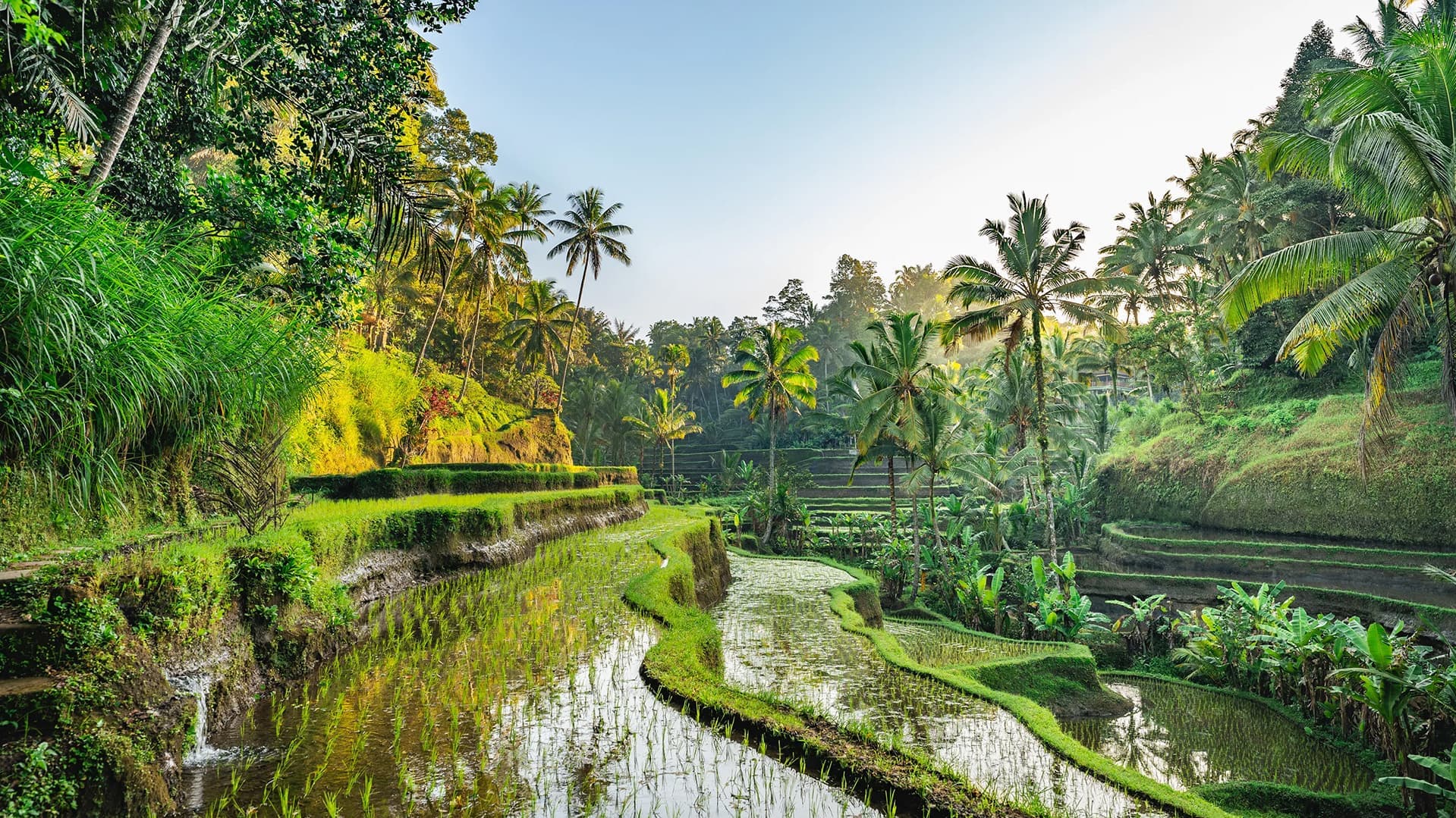 Pushime ne Bali