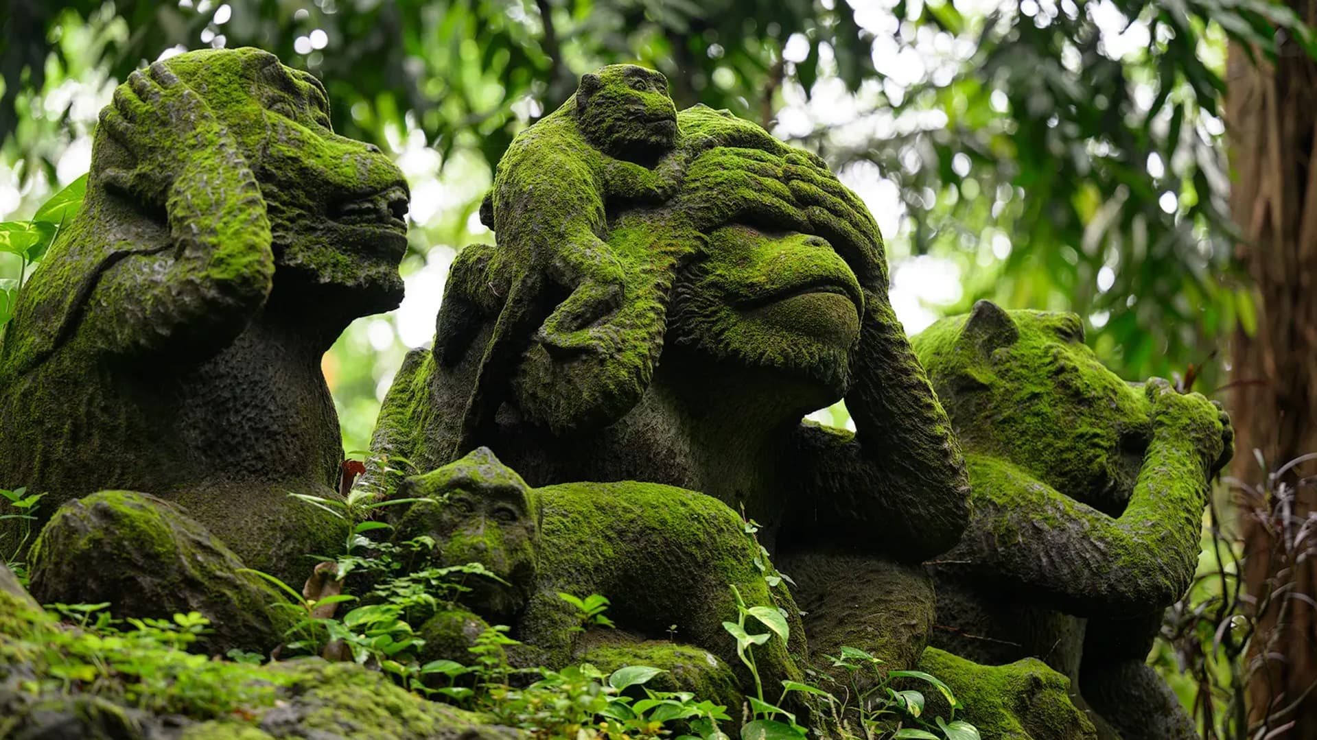 Pushime ne Bali