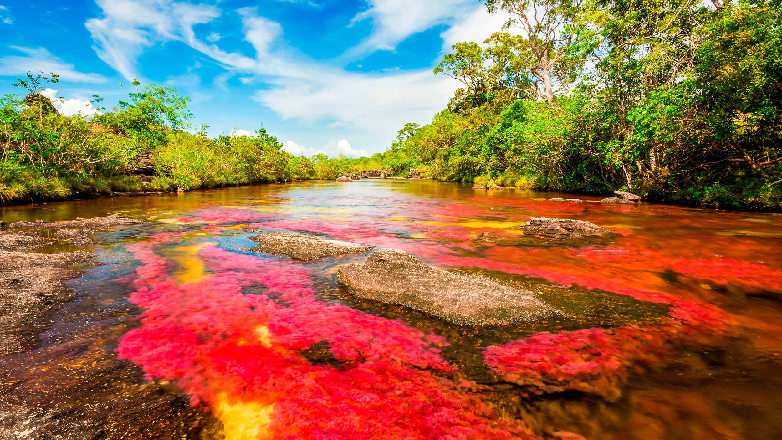 Caño Cristales