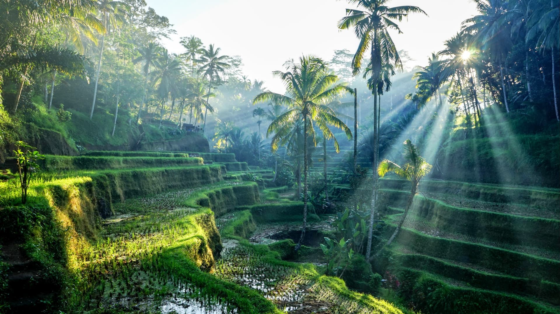 Pushime ne Bali