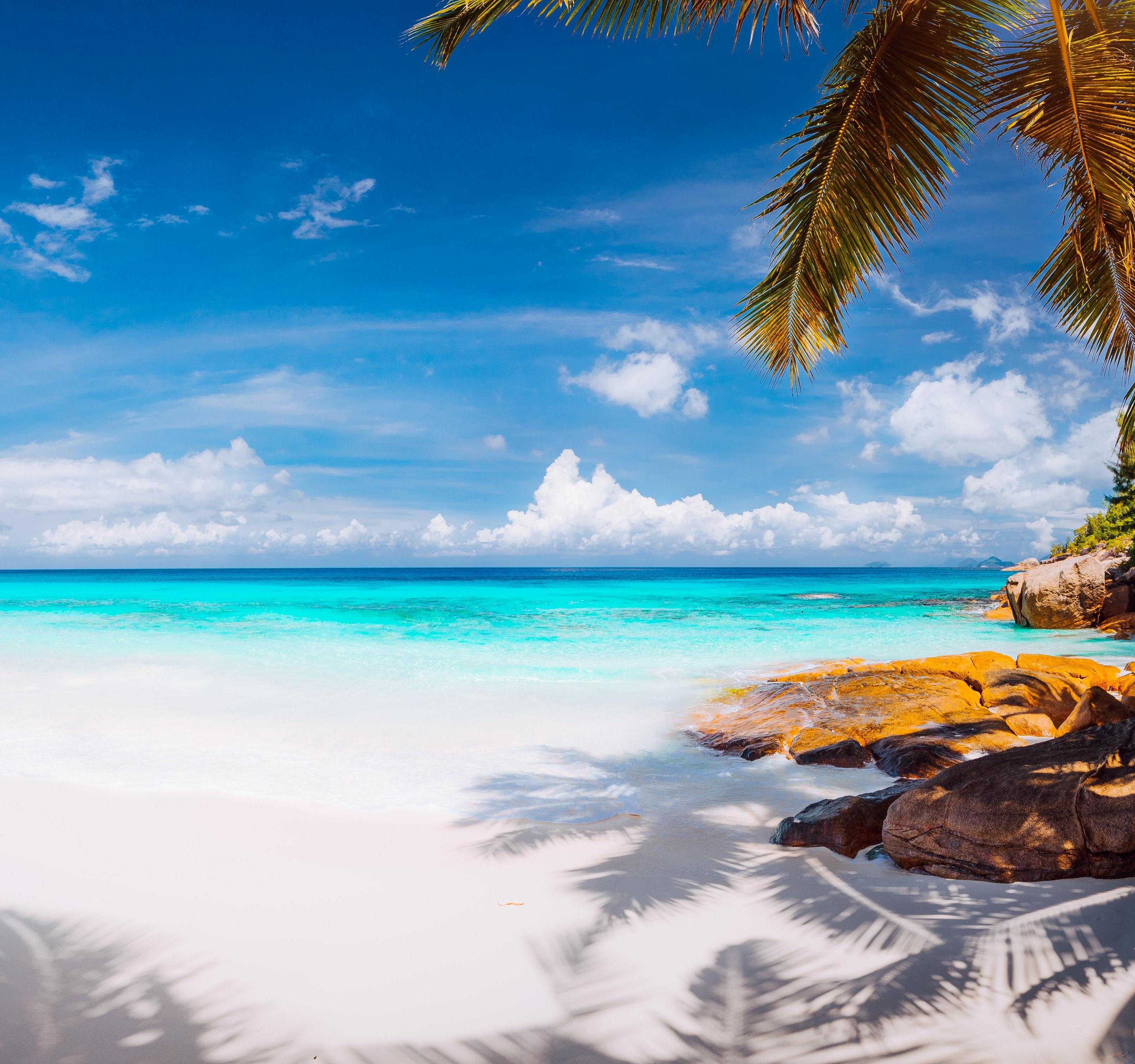 JAKALA – Società incentrata su dati, IA ed esperienze, image size:3203x3002