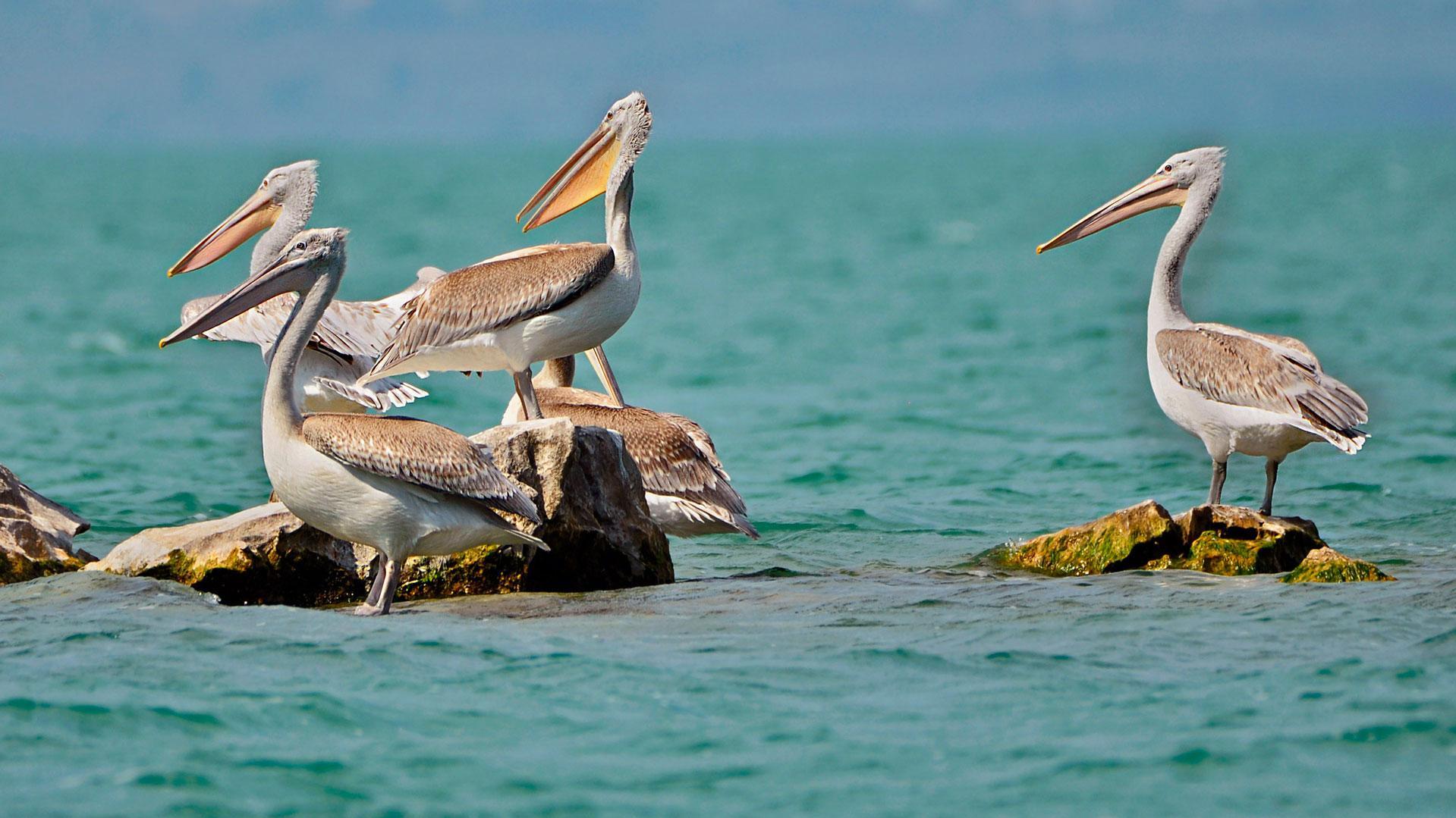 Tours in Albania – Discover the Hidden Gem of the Balkans