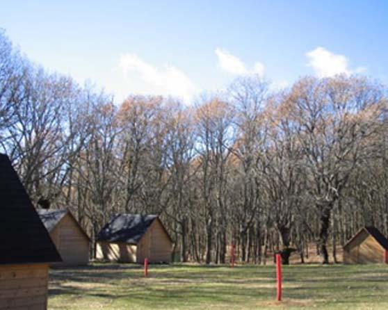 Campamento El Piélago (Navamorcuende)