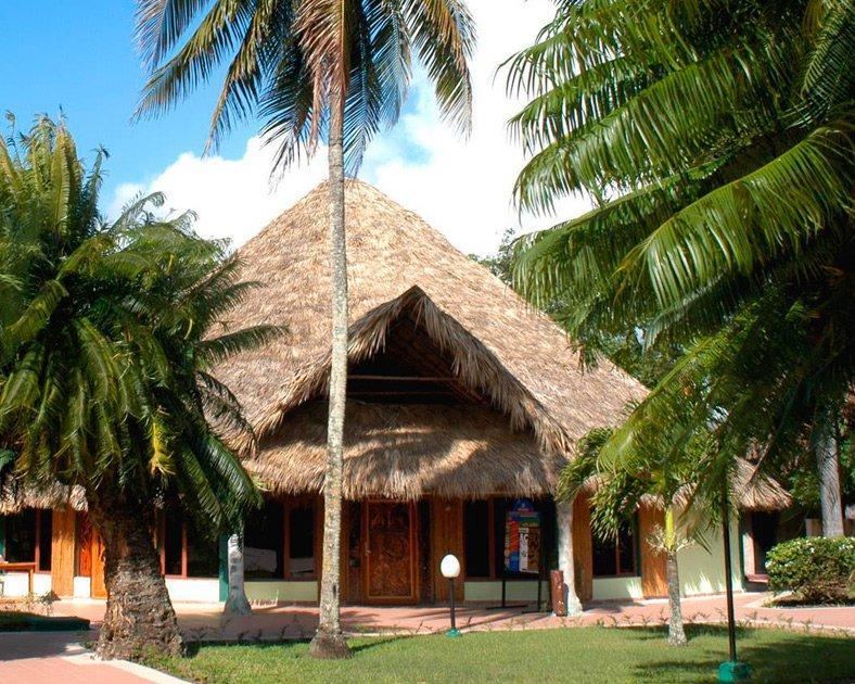 Los Caneyes - JUMP P+US