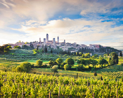 Culinair San Gimignano afbeelding