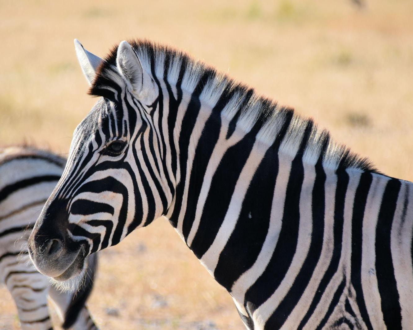 Het noorden van Namibië