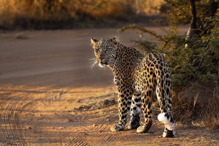  Circuit Cape Town, Johannesburg & Cascada Victoria - martie