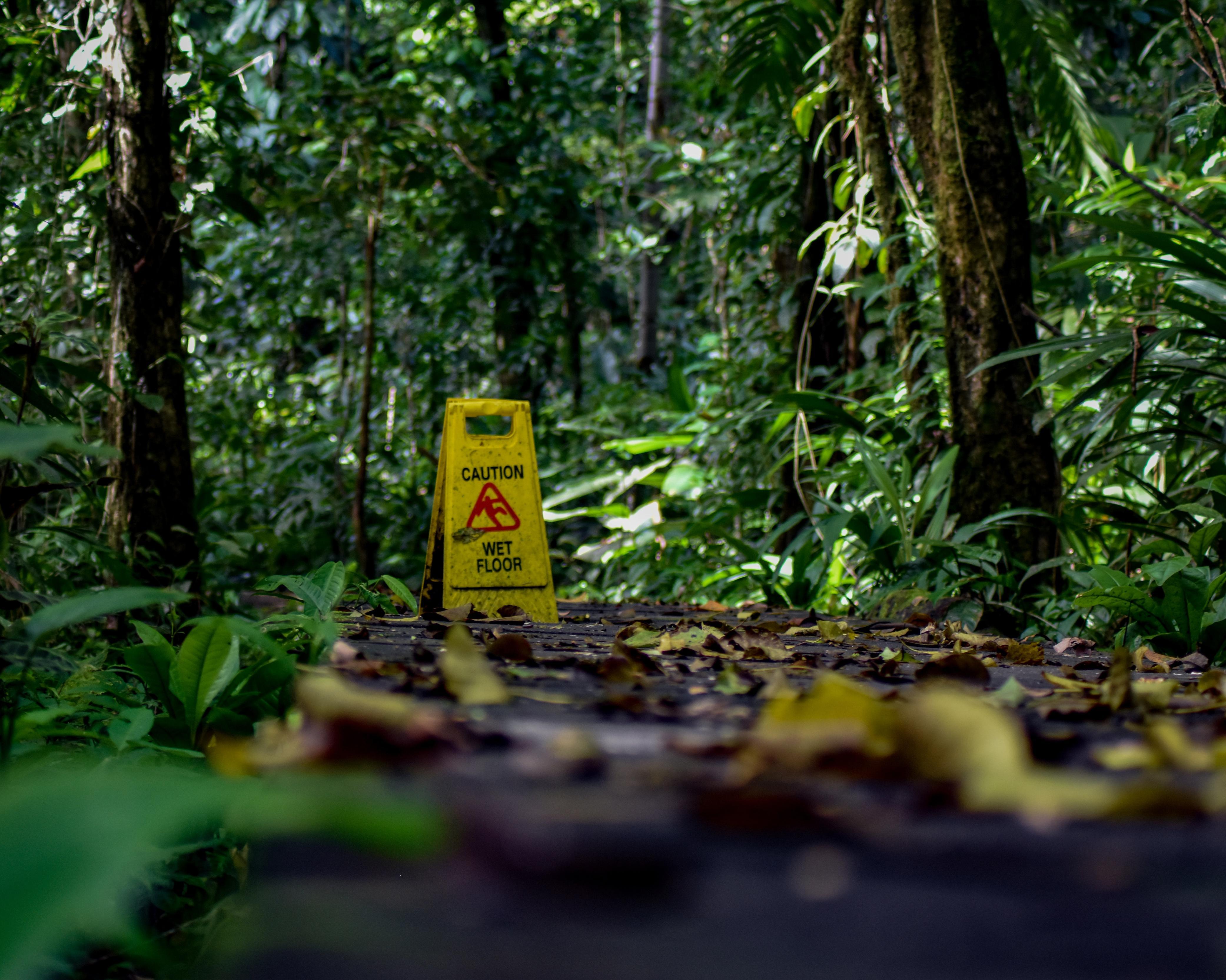 Hoogtepunten van Costa Rica