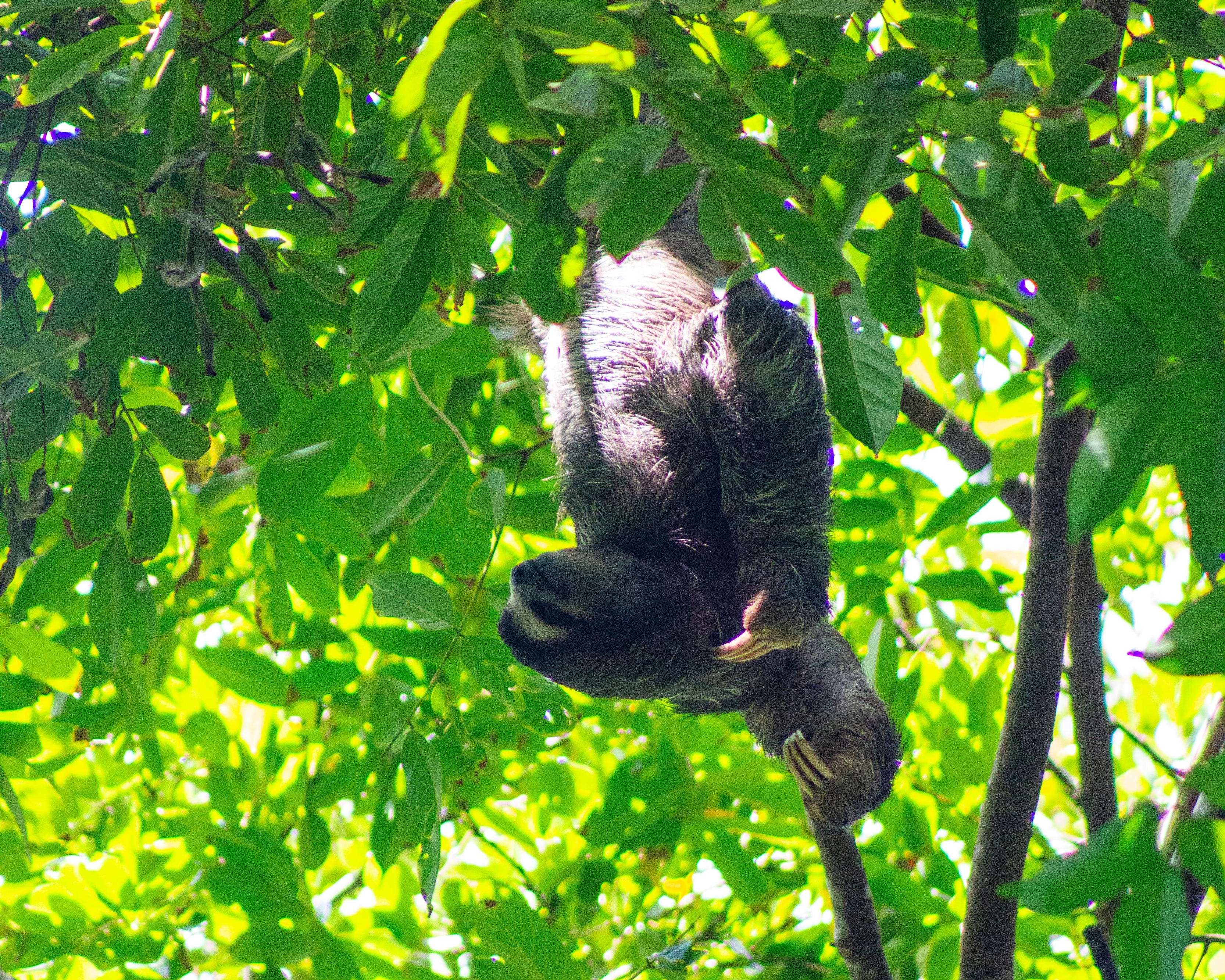 Maak kennis met Costa Rica
