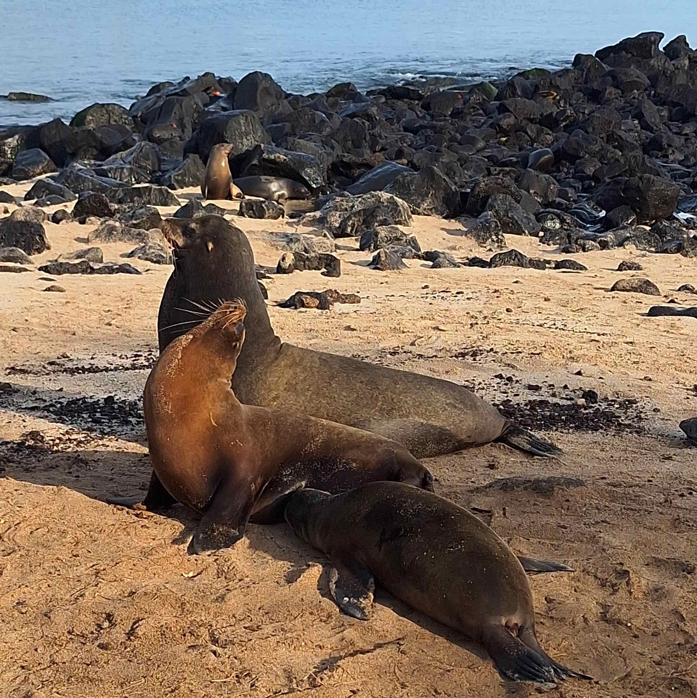 San Cristobal Island, Galápagos Islands