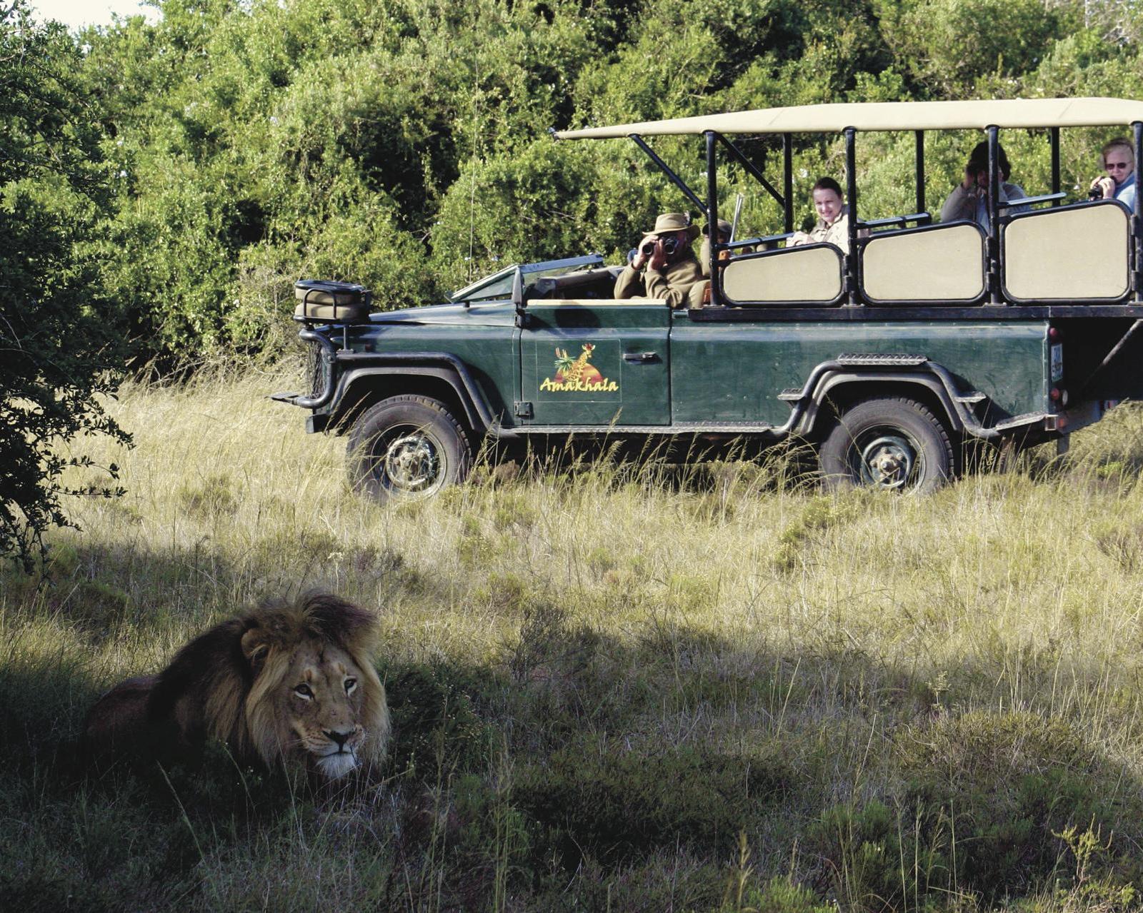 Het beste van Zuid-Afrika