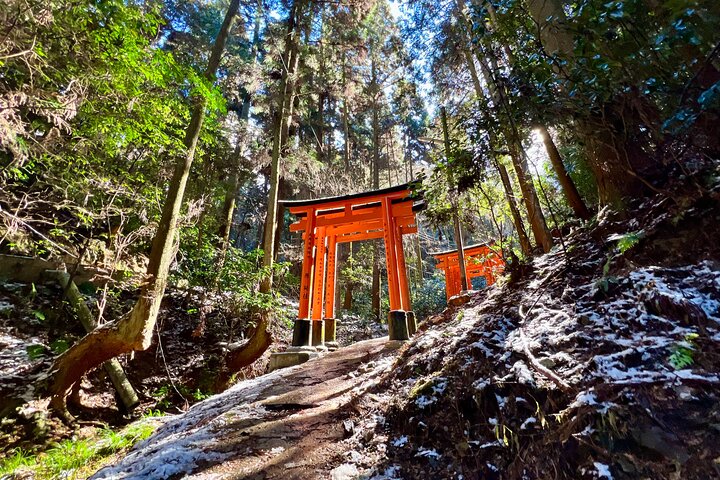 Circuit Aventura in Japonia - mai 2026
