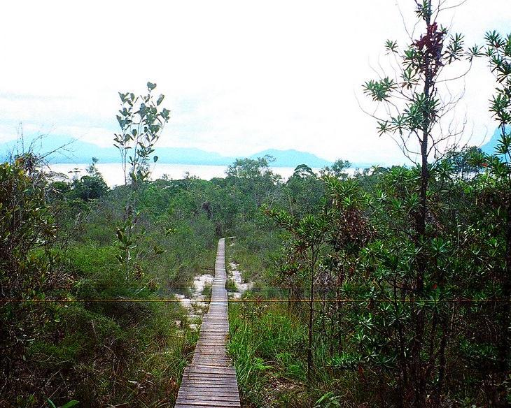 Bako National Park, Malaysia