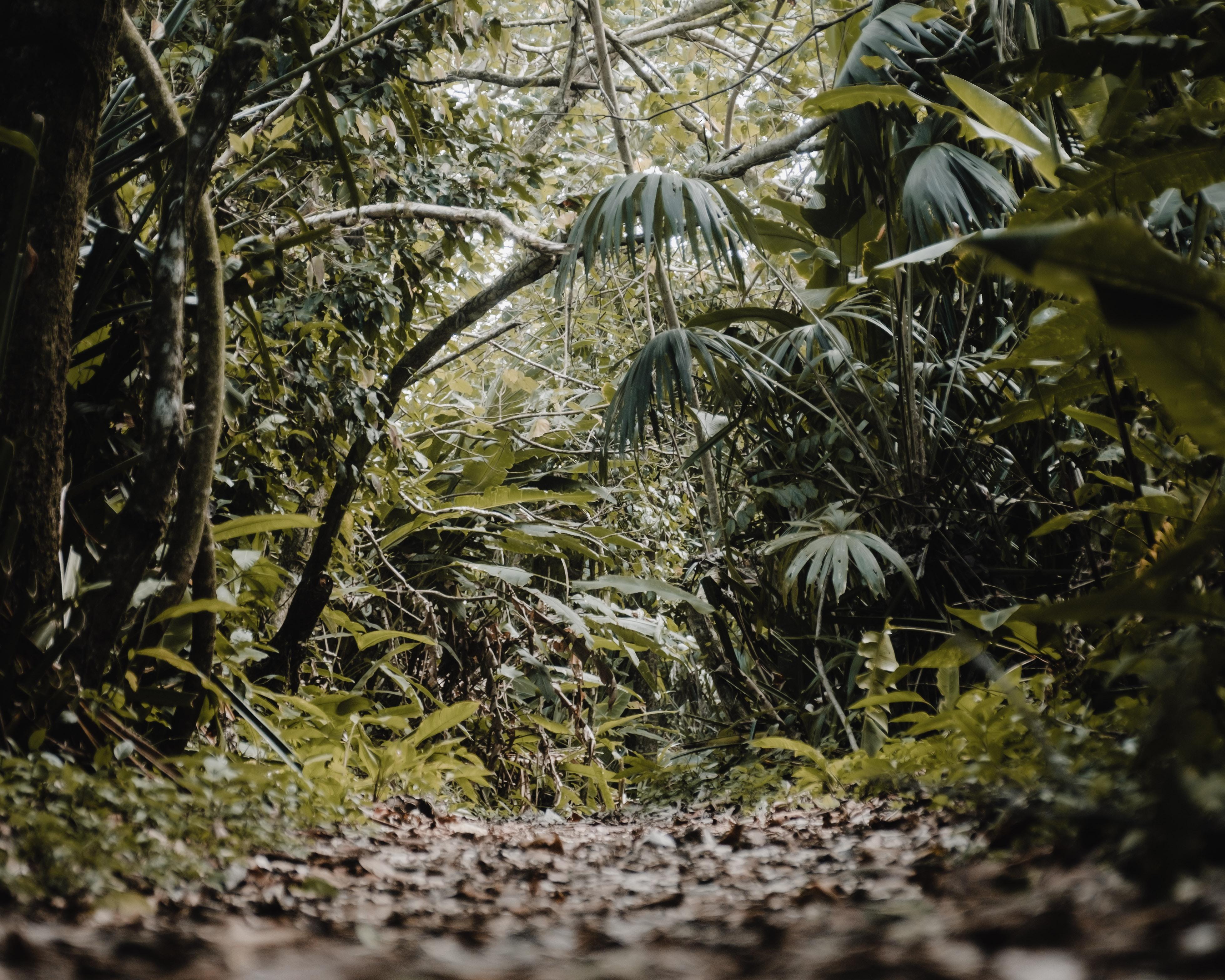 Ontdek het prachtige Costa Rica