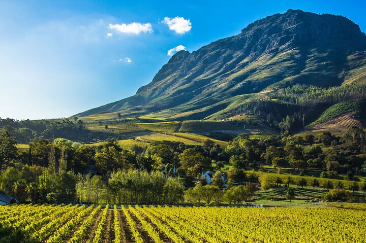  Circuit Africa de Sud - Cape Town & Winelands - iulie 2026