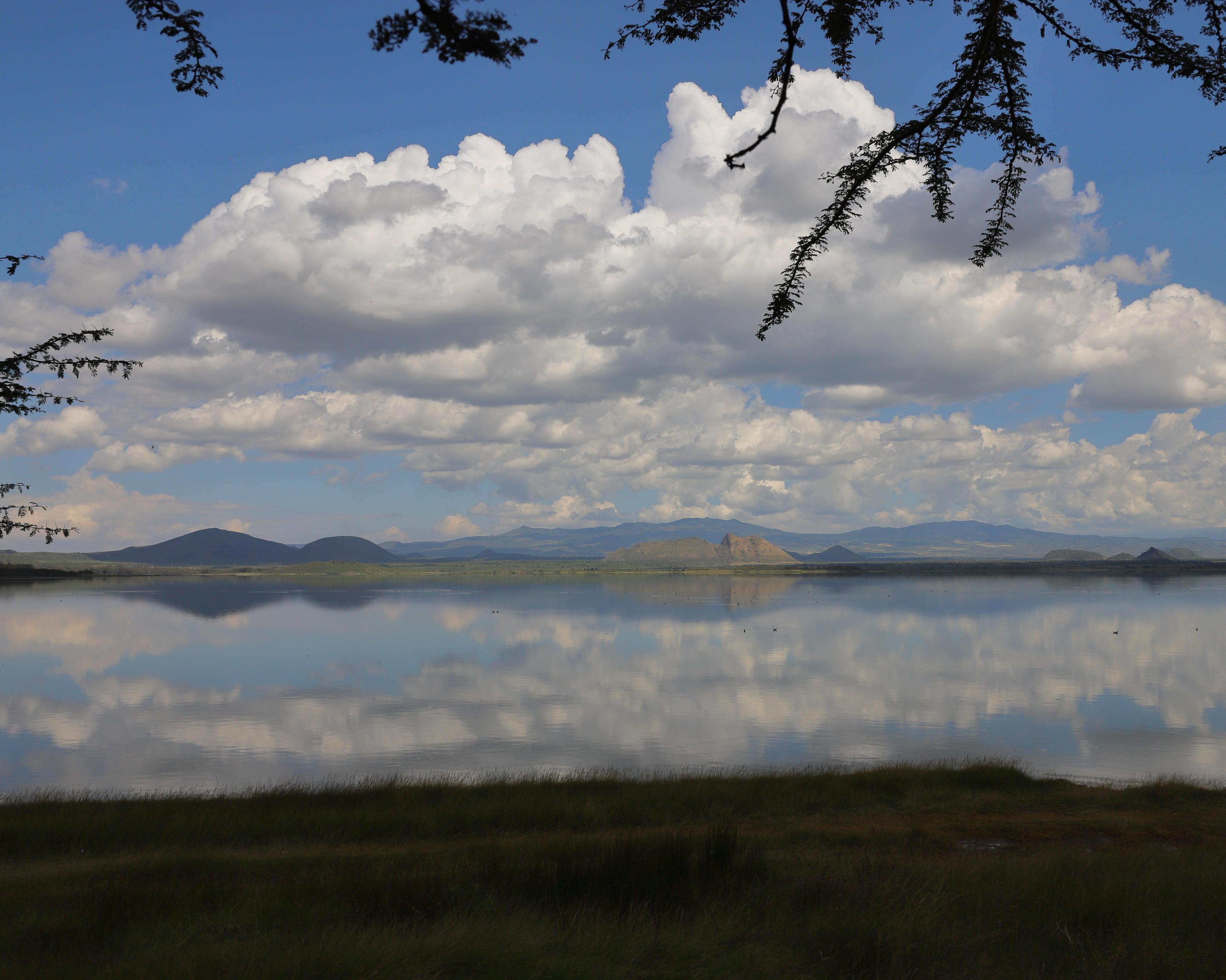 Lake Elementaita, Kenya