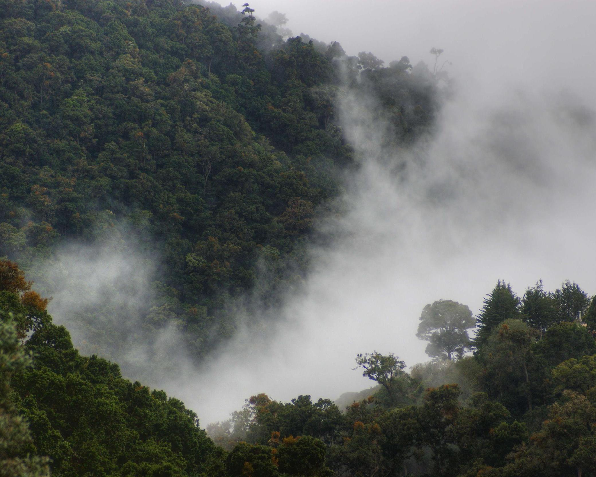 Het beste van Costa Rica