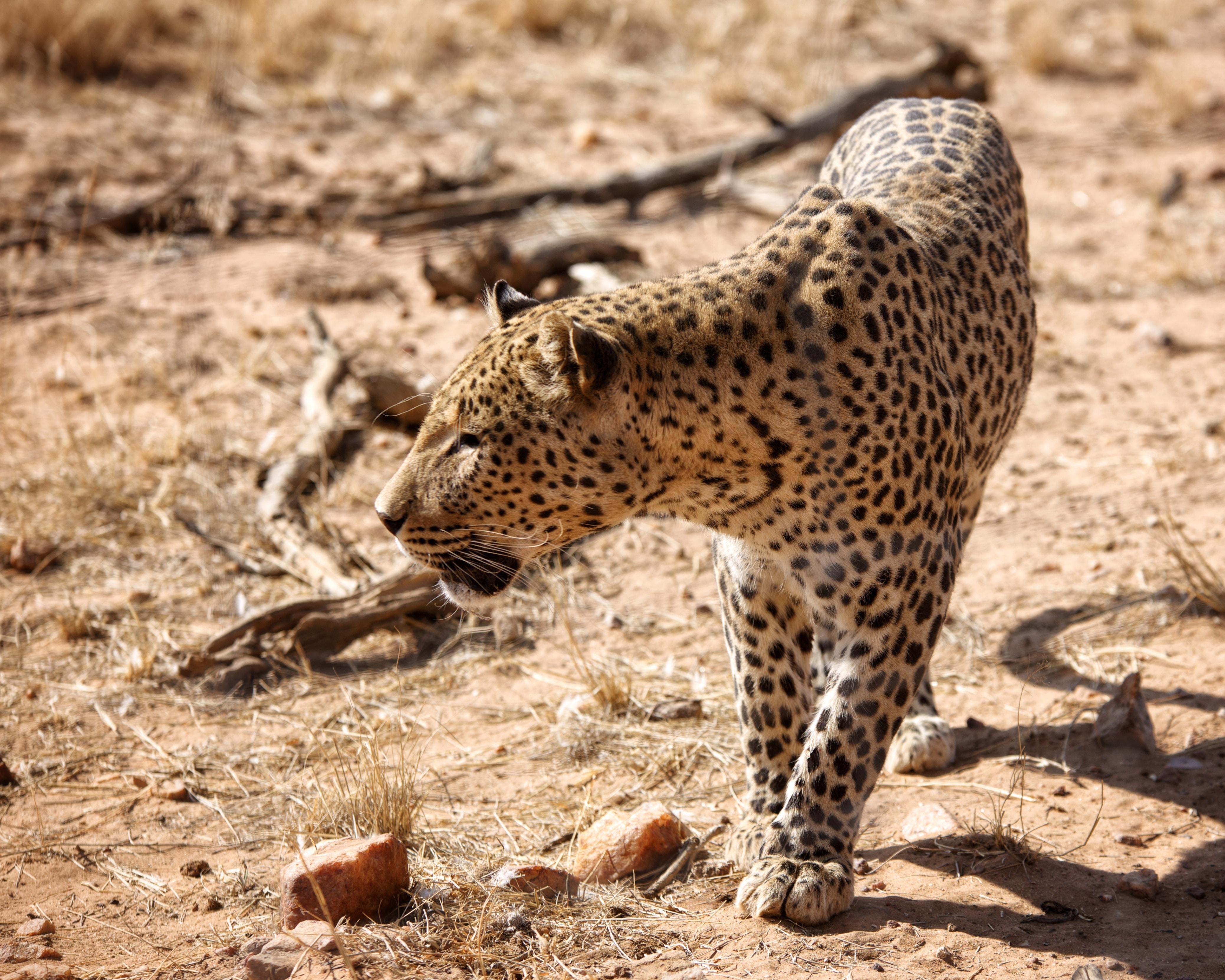 Het noorden van Namibië