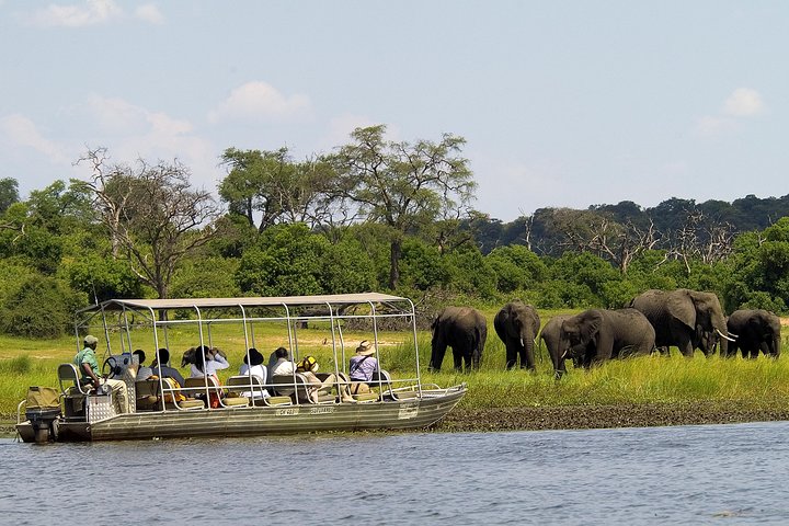 Circuit Africa de Sud & Botswana - martie 2026