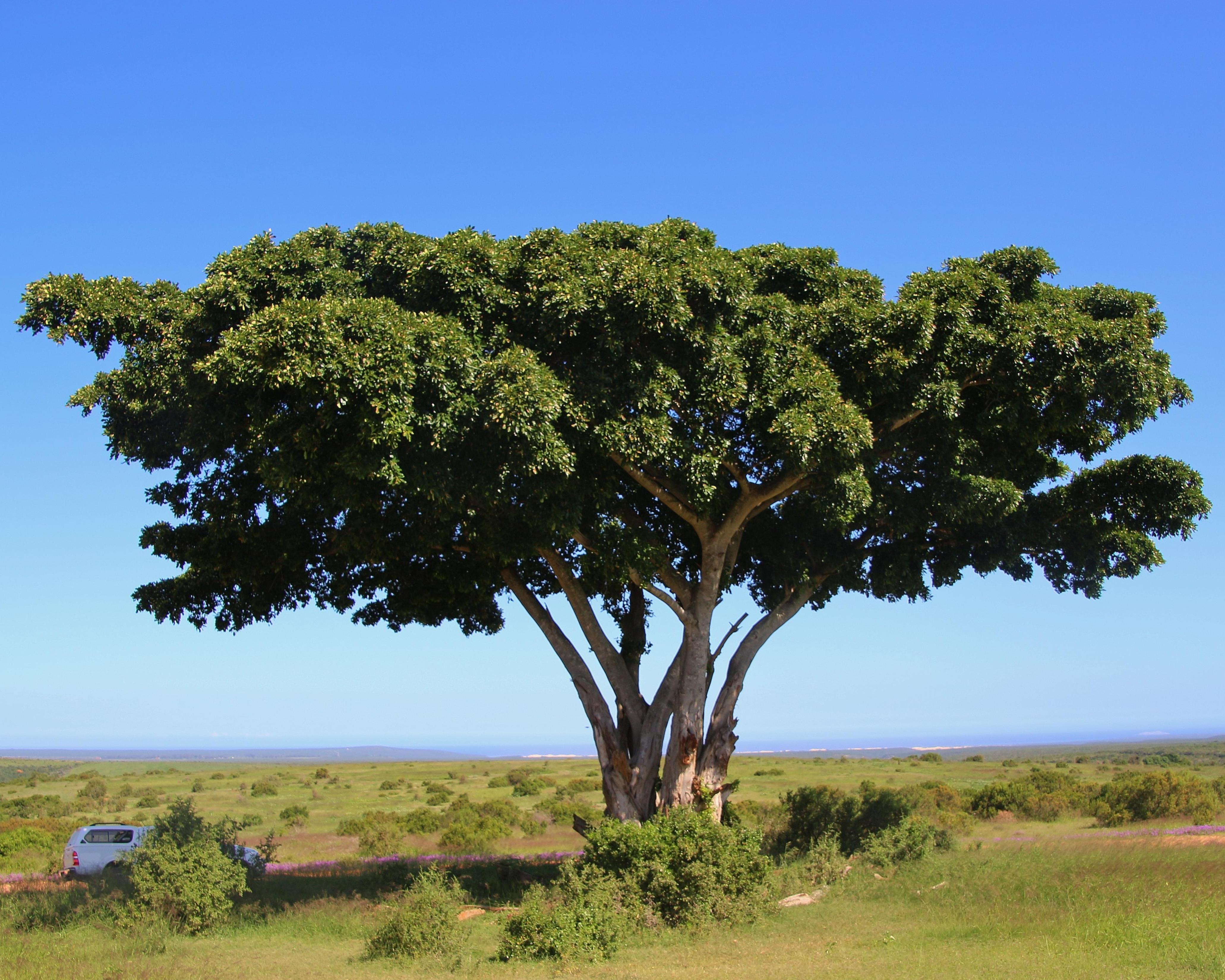 Hoogtepunten van Zuid-Afrika