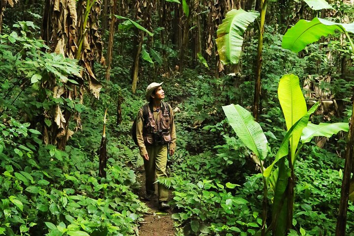 Jungle Experience in Phuket, Thailanda - ianuarie 