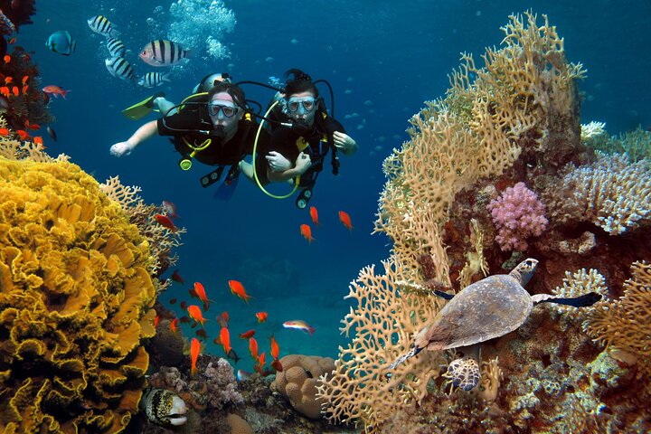  Diving in Phuket, Thailanda - noiembrie 