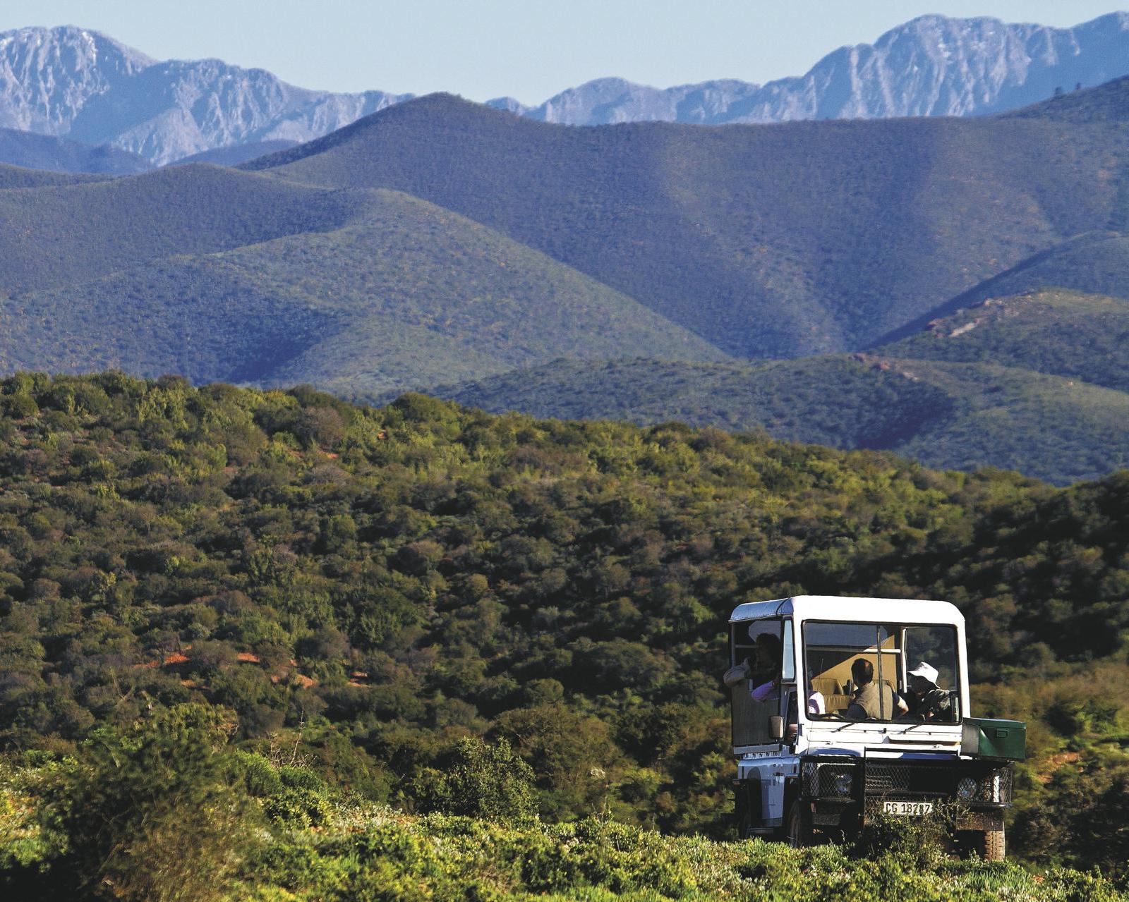 Ontdek de Tuinroute en het Amakhala Nature Reserve