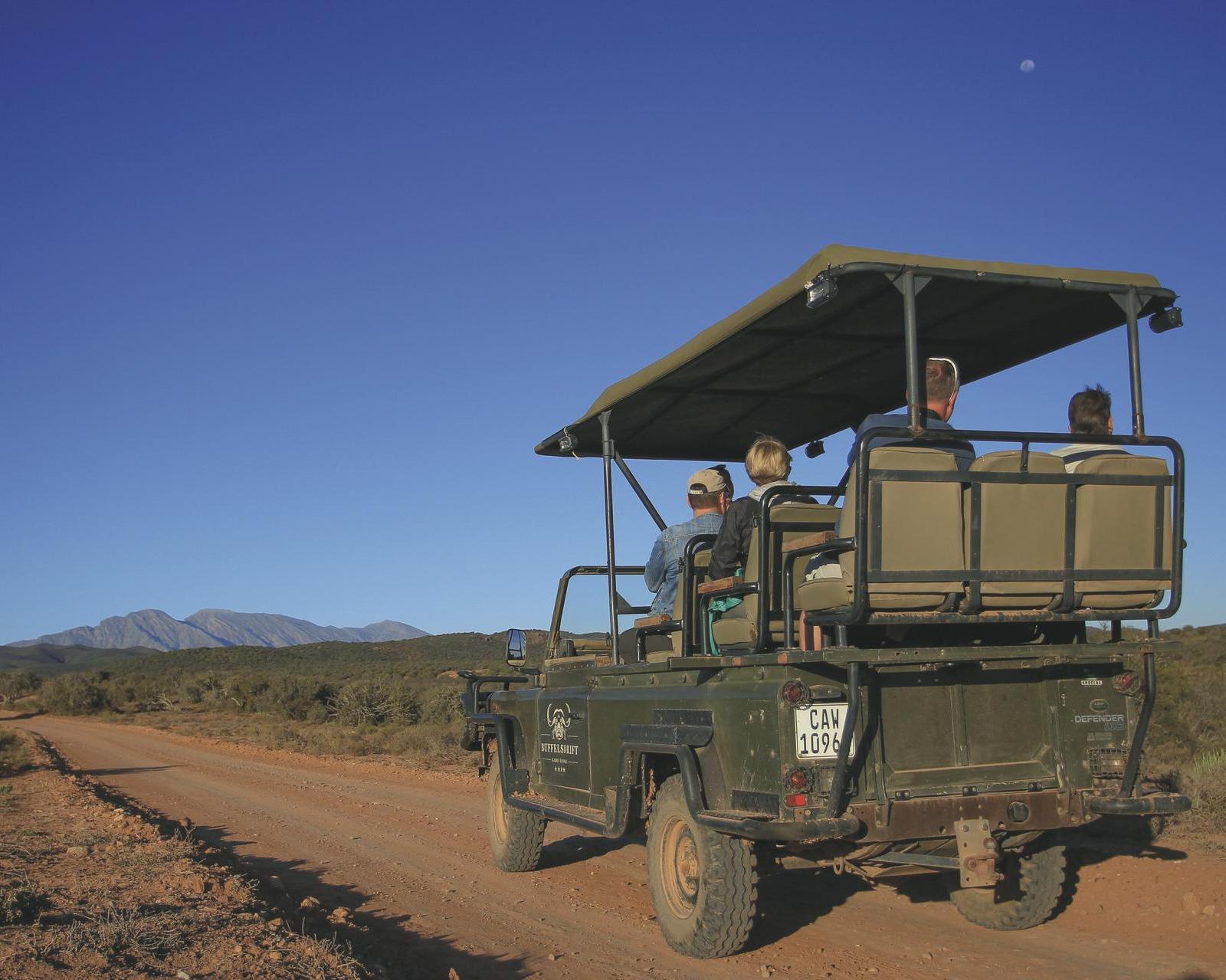 Ontdek de Tuinroute en het Amakhala Nature Reserve