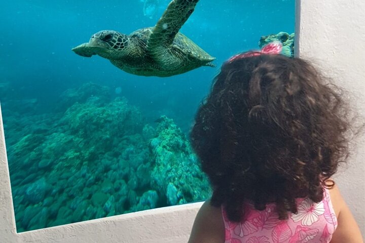 Vacanta copiilor Larnaca, Cipru - aprilie