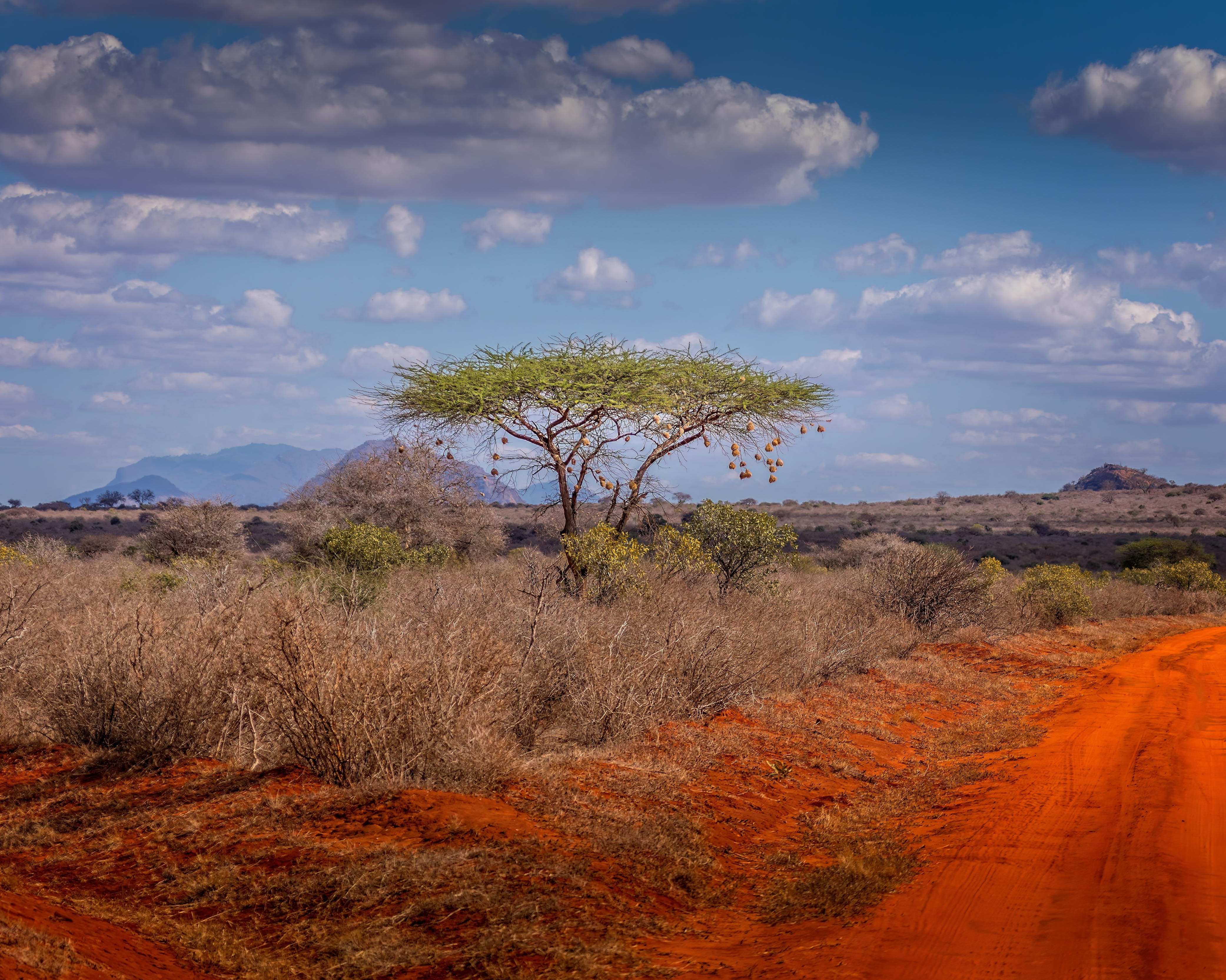 Tsavo East National Park, Kenya