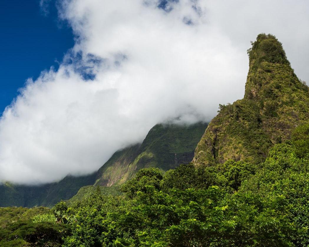 Familiereis Makai – Oahu, Maui, Big Island