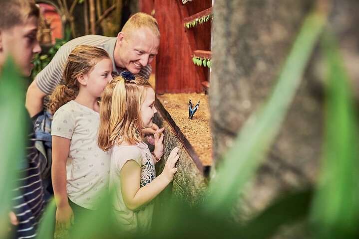 Vacanta copiilor: Descopera Costa Rica - februarie 2026