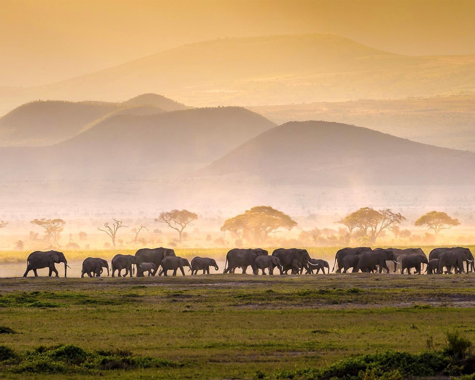 Sejur Charter - Safari & Diani Beach, Kenya - ianuarie 2026