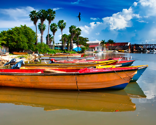  Descopera Miami, SUA & Jamaica - octombrie 2025