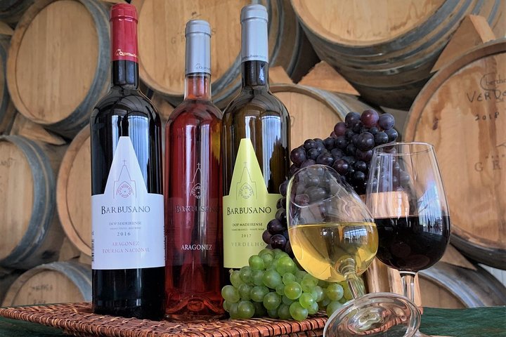 Degustare de vin in Madeira, Portugalia - iulie