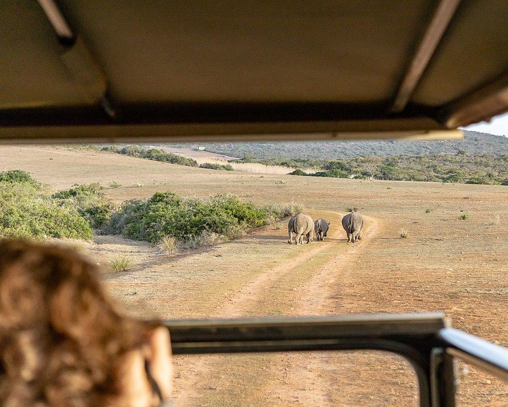 Garden Route Game Lodge, South Africa