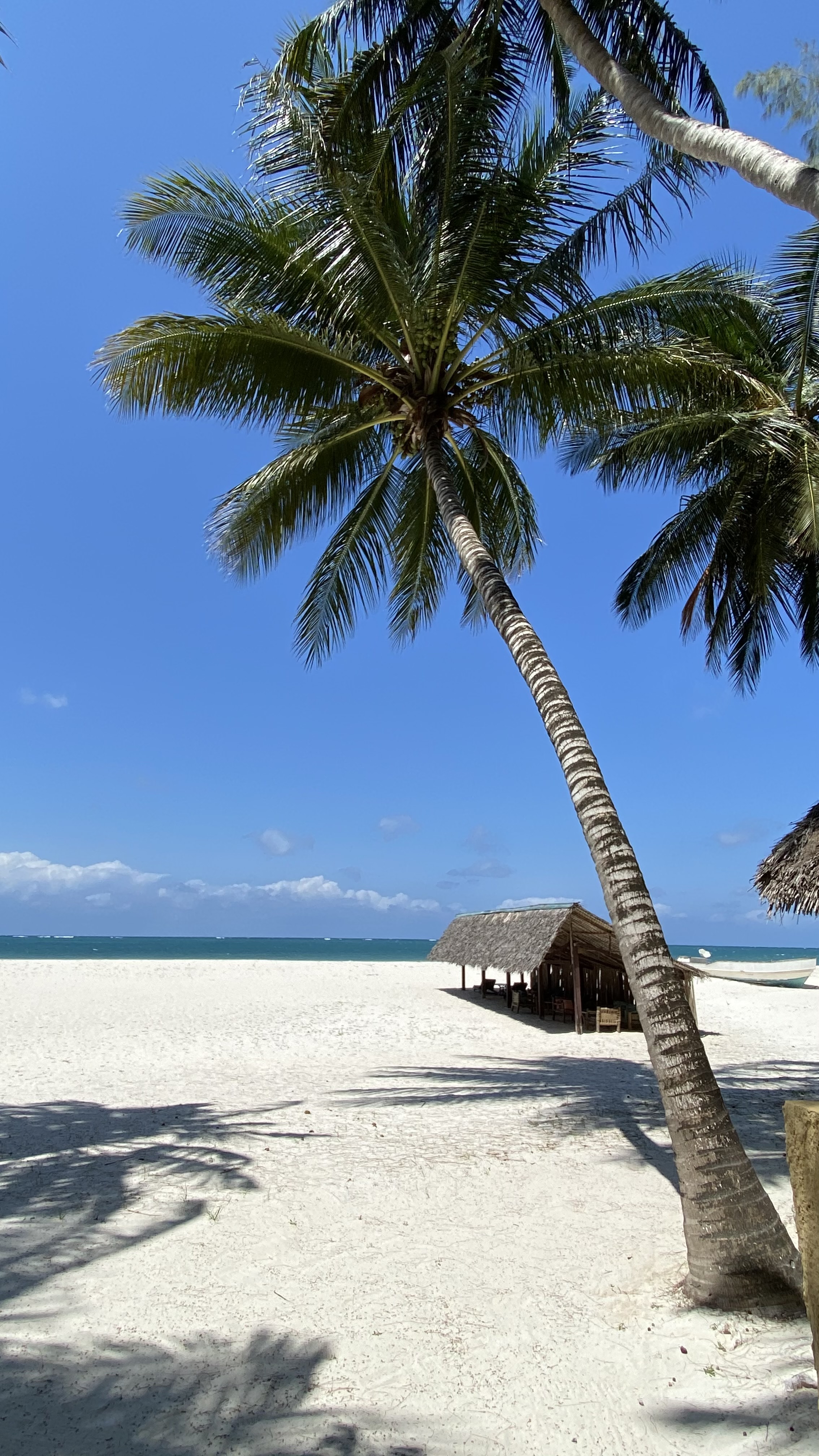Sejur Diani Beach, Kenya - noiembrie 2025
