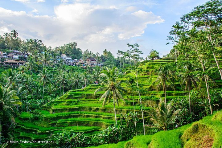 Circuit Bali & Lombok, Indonezia - martie 2026