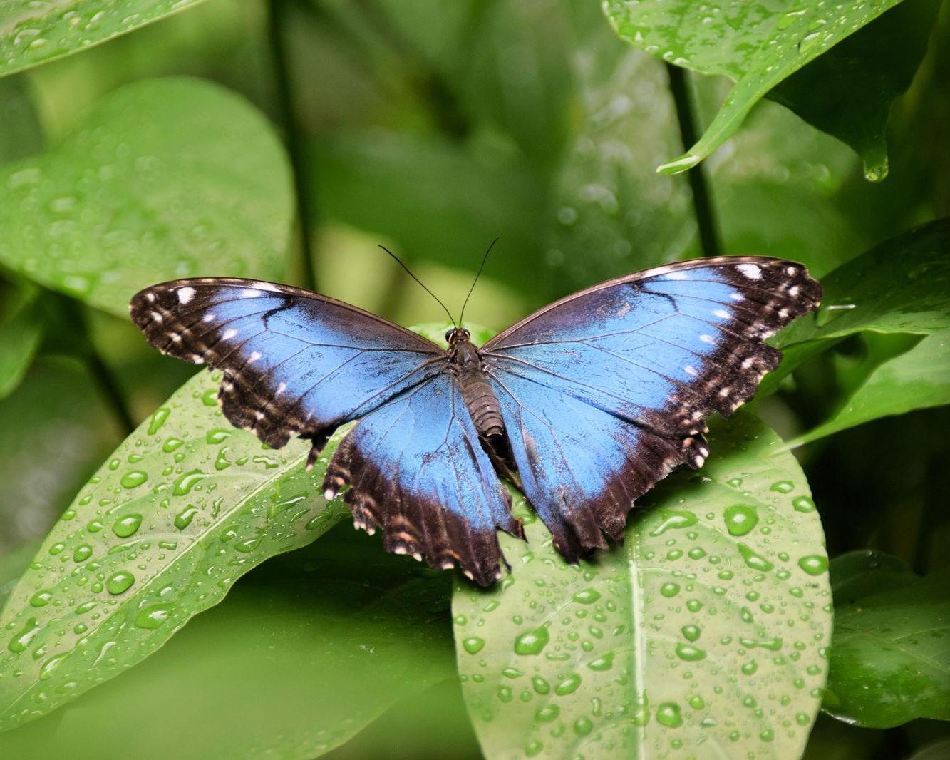 Beleef Costa Rica