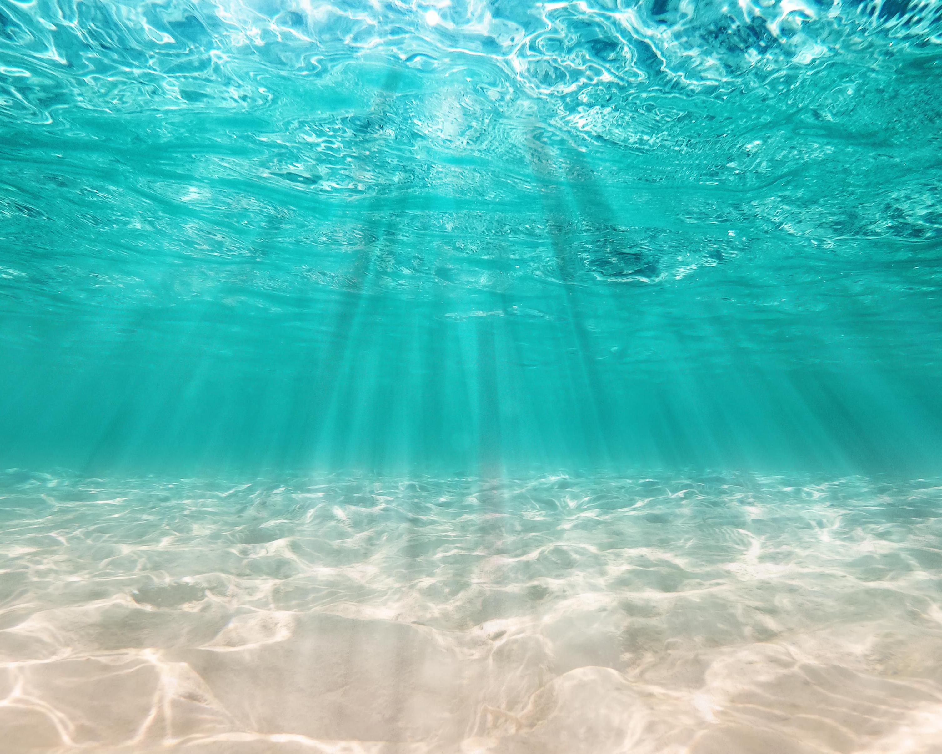 In navigation (Istanbul), Turkey