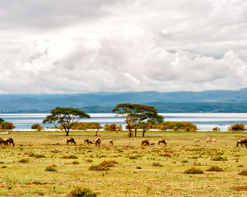 Safari in Mombasa und in Nairobi & Baden auf Mauritius