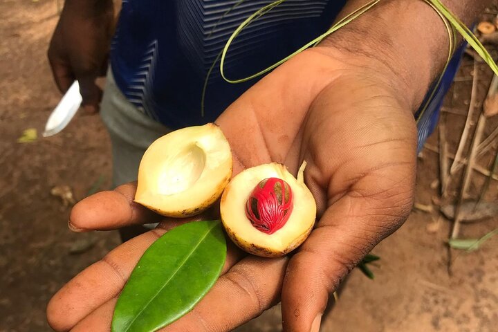 Sejur charter, Descopera condimentele din Zanzibar, Tanzania