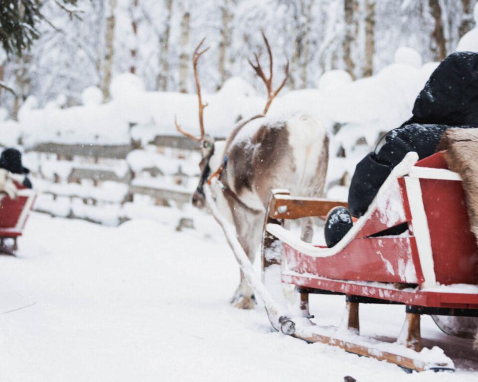 Aventura in Laponia, Finlanda - februarie 2026