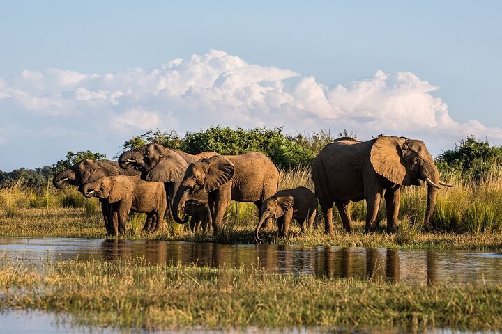 Exploreaza Africa de Sud - Cape Town, Winelands & Durban - iunie 2026