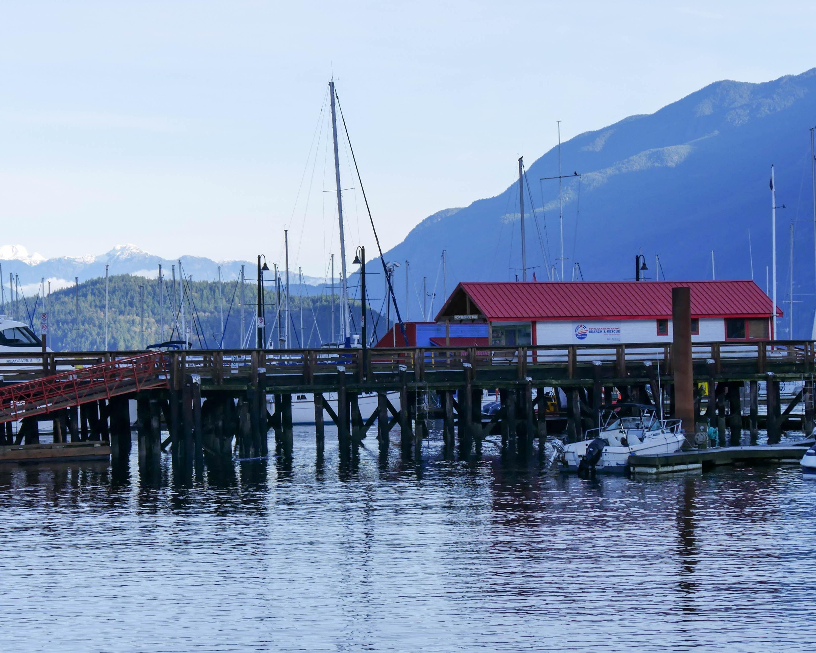 De beren en walvissen van Vancouver Island