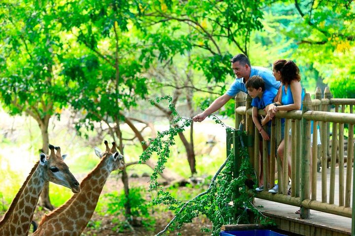 Sejur cu familia Mauritius, 7 nopti