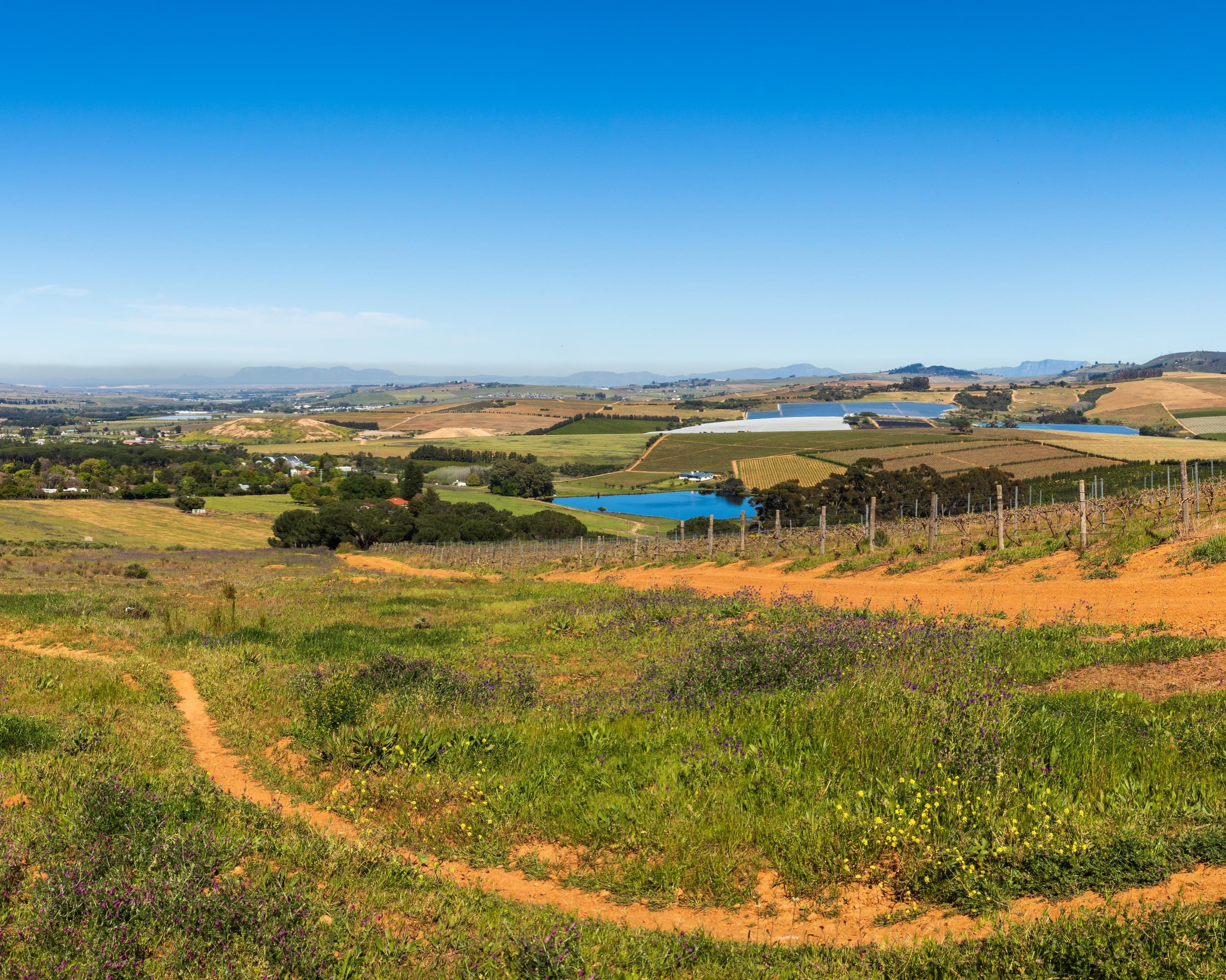 Ontdek de Tuinroute en het Amakhala Nature Reserve