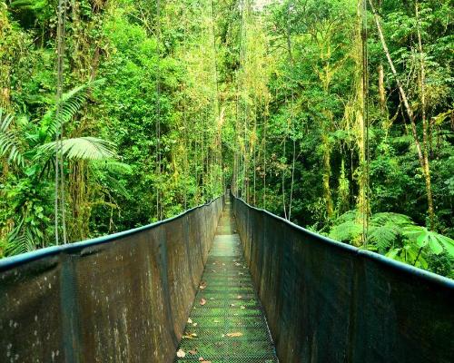 Flydrive: Het beste van Costa Rica afbeelding