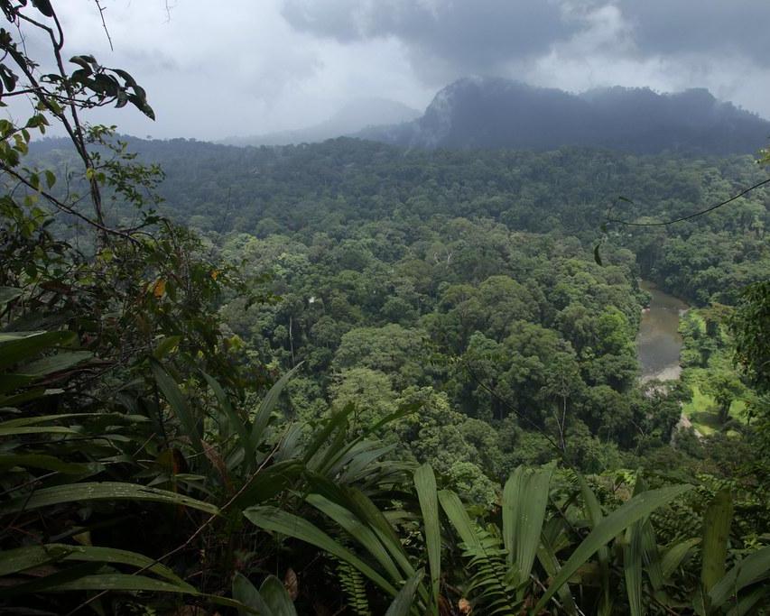 Kinabatangan-Segama, Malaysia
