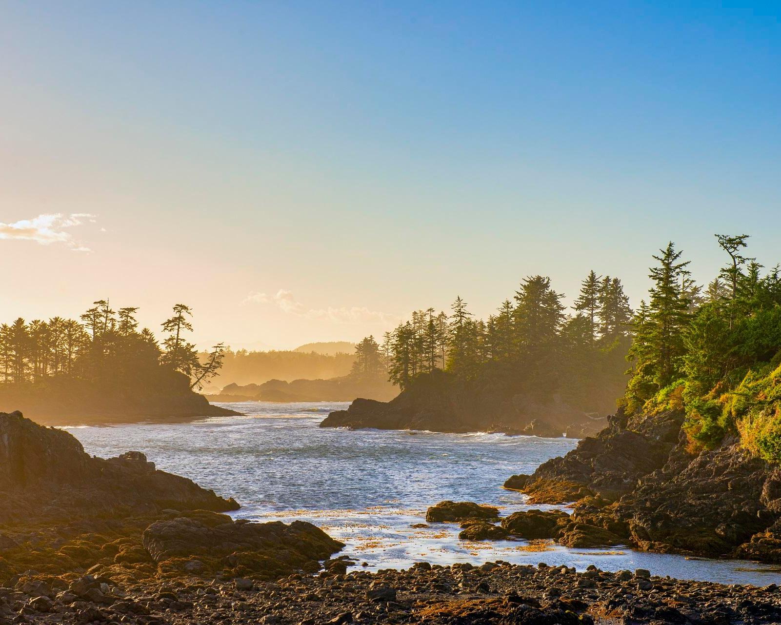 De beren en walvissen van Vancouver Island